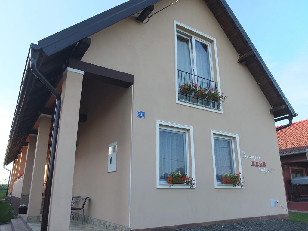 Draž Country House Baranjski Tulipan מראה חיצוני תמונה