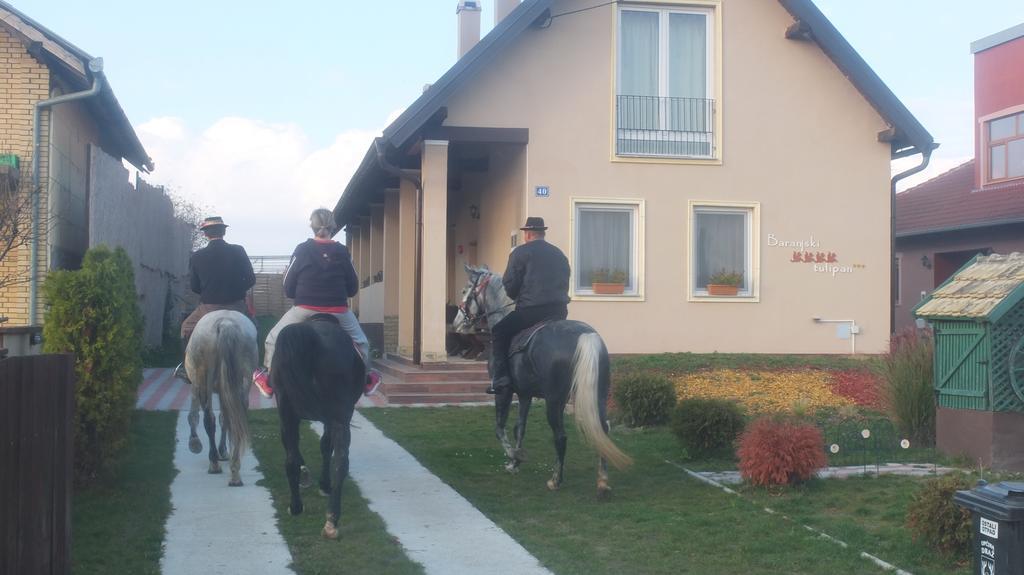 Draž Country House Baranjski Tulipan מראה חיצוני תמונה