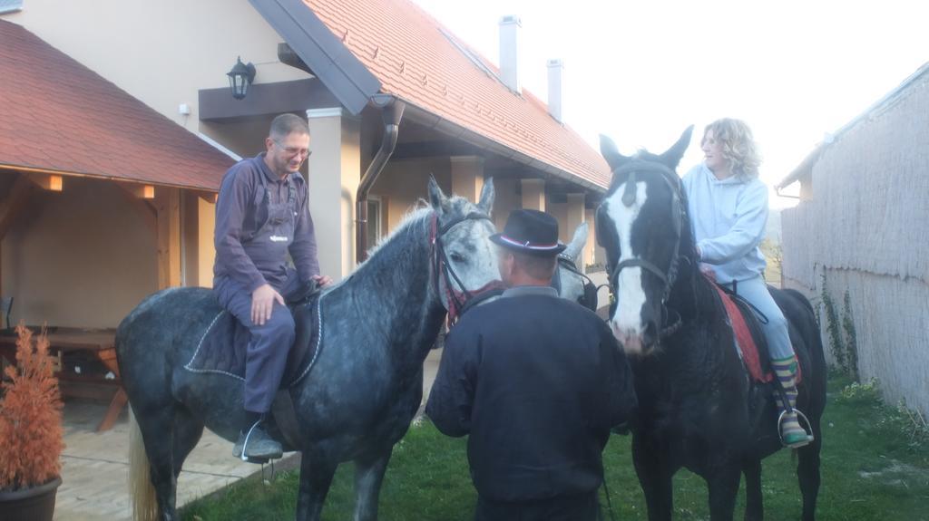 Draž Country House Baranjski Tulipan מראה חיצוני תמונה